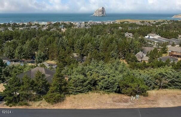 TL 50 NESTUCCA RIDGE RD, PACIFIC CITY, OR 97135, photo 1 of 18